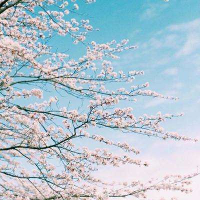 全民彩票下载手机版